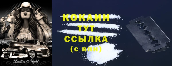 винт Гусиноозёрск