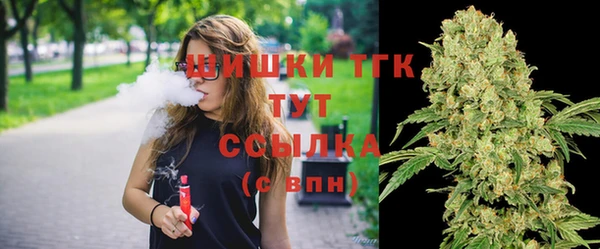 винт Гусиноозёрск